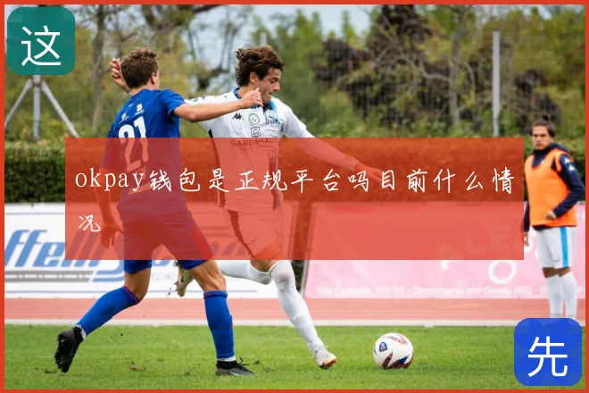 okpay钱包是正规平台吗目前什么情况